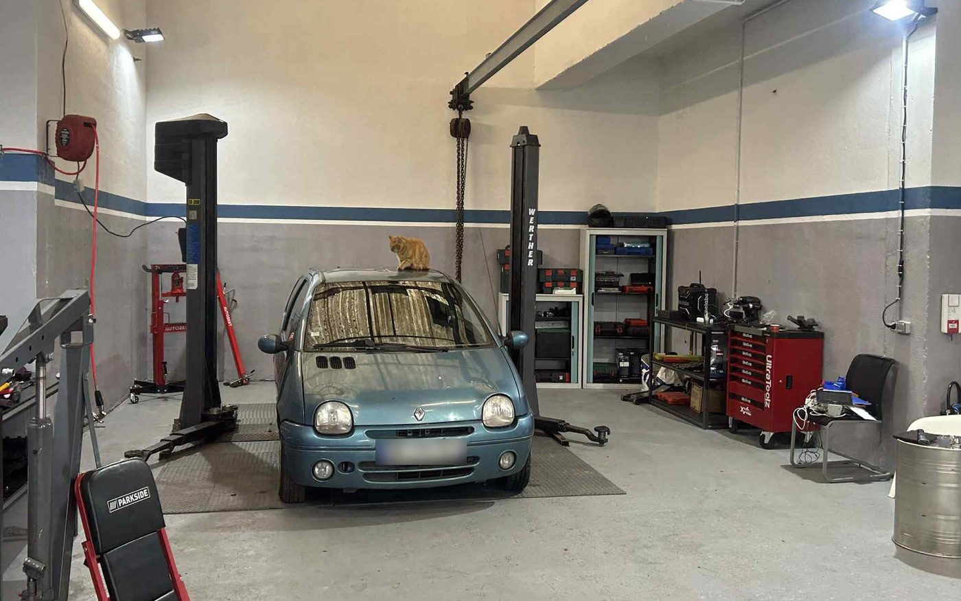 L'atelier Hannibal Autos, une Twingo sur le pont et le chat du garage